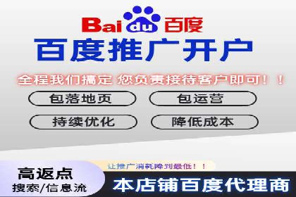 百度广告竞价效果评估：某知名品牌的投放效果分析